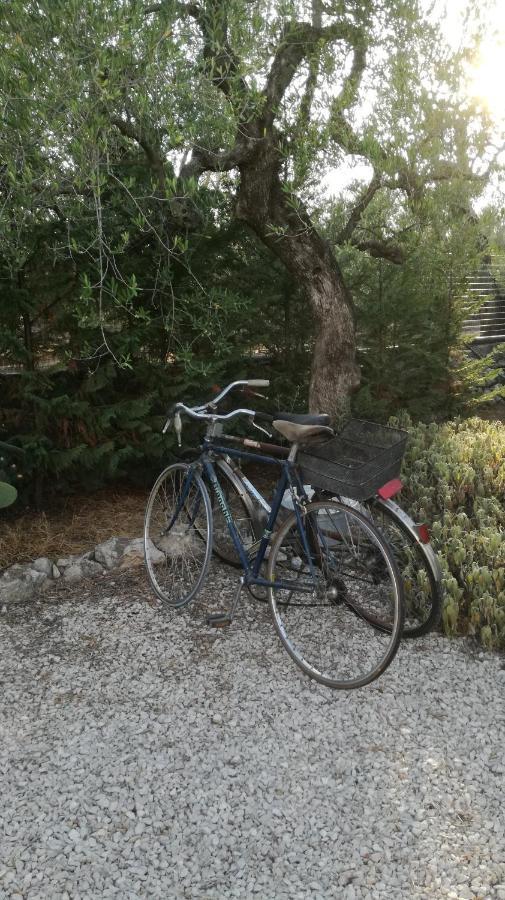 B&B Villa Mediterranee Con Parking Space Trani Ngoại thất bức ảnh